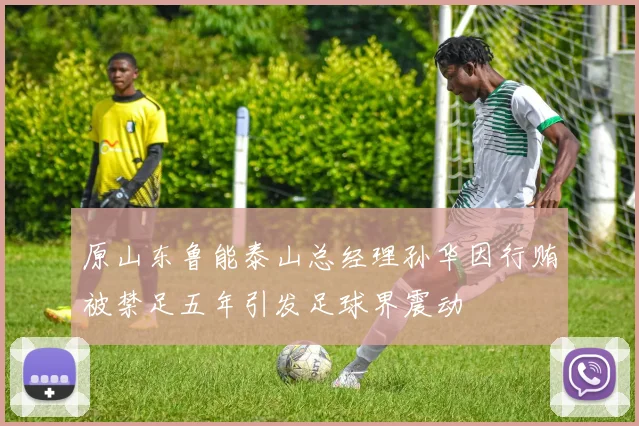 原山东鲁能泰山总经理孙华因行贿被禁足五年引发足球界震动