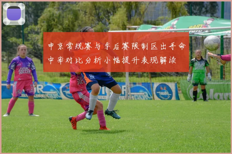 申京常规赛与季后赛限制区出手命中率对比分析小幅提升表现解读